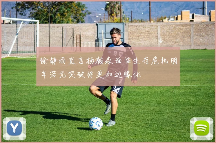 徐静雨直言杨瀚森面临生存危机明年若无突破将更加边缘化